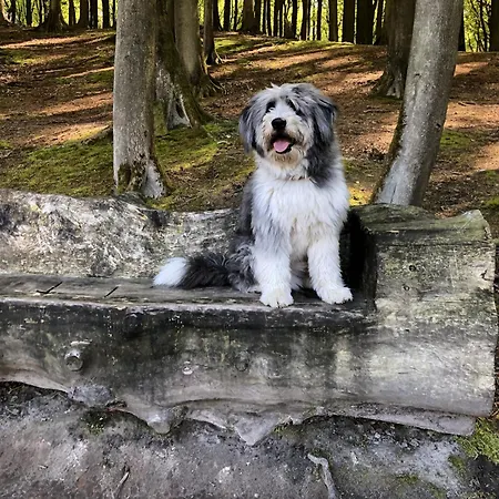Sehnsucht Ruegen Sellin (Rugen)
